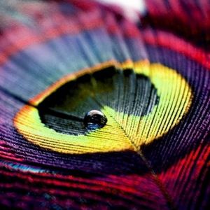 Meet your Posher, Maddison